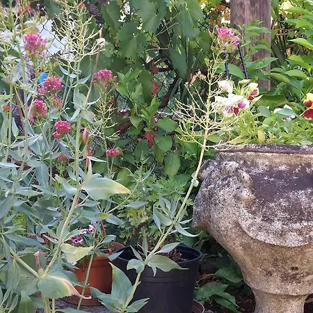 Apartmán Andreina 1897 Opatija