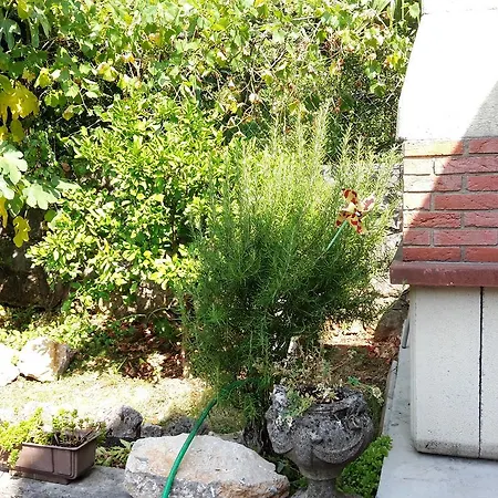 Apartmán Andreina 1897